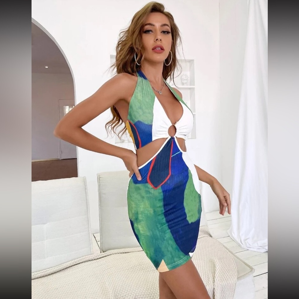 Backless Cut Out Colorblock Dress - Picture 3 of 3